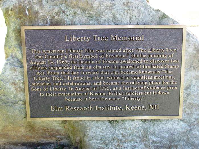 Liberty Tree Memorials