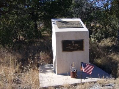 FIRST SERGEANT JAMES MCNALLY MEMORIAL