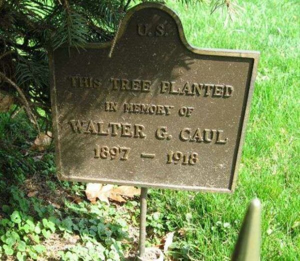 WALTER G. CAUL MEMORIAL TREE PLAQUE