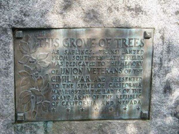 THIS GROVE OF TREES MEMORIAL PLAQUE