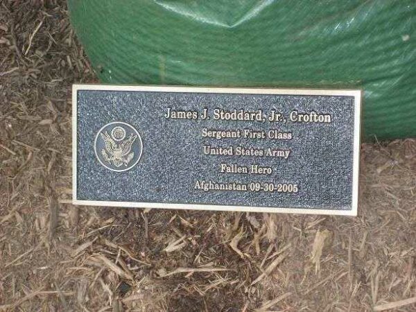 JAMES J. STODDARD JR. PARK TREE MEMORIAL PLAQUE