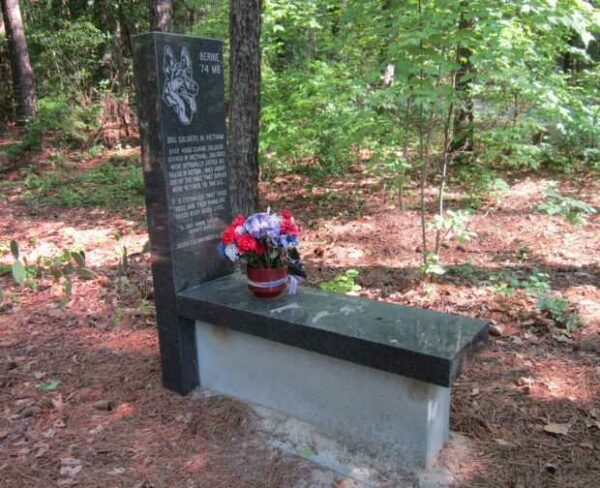 DOG SOLDIERS IN VIETNAM MEMORIAL
