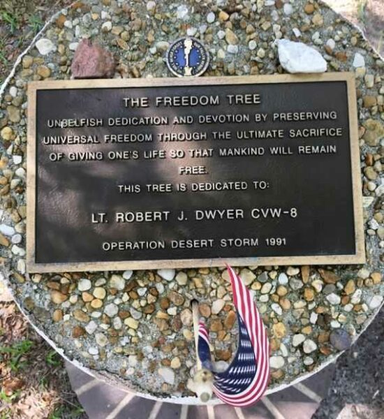 THE FREEDOM TREE LT. ROBERT J. DWYER CVW-8 MEMORIAL PLAQUE