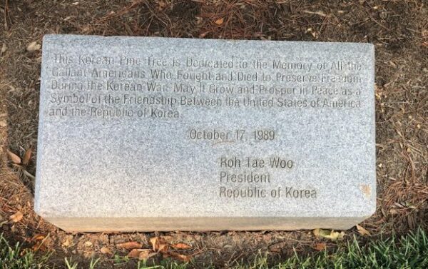 KOREAN PINE TREE WAR MEMORIAL STONE