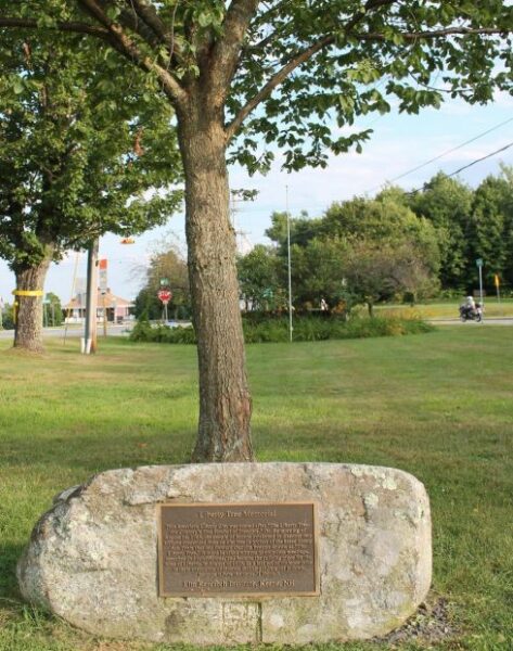 PRINCETON LIBERTY TREE MEMORIAL