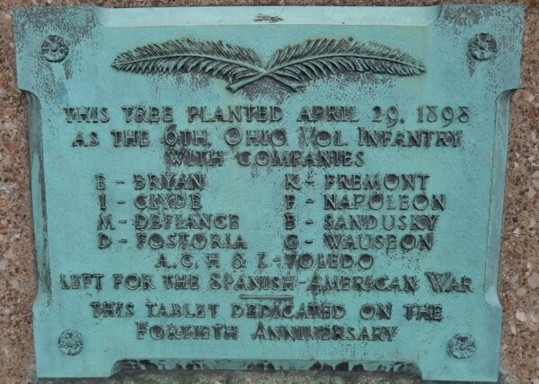 THE 6TH OHIO VOL. INFANTRY WAR MEMORIAL TREE PLAQUEA