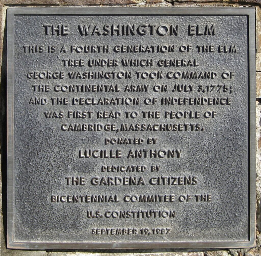 THE WASHINGTON ELM MEMORIAL TREE PLAQUE