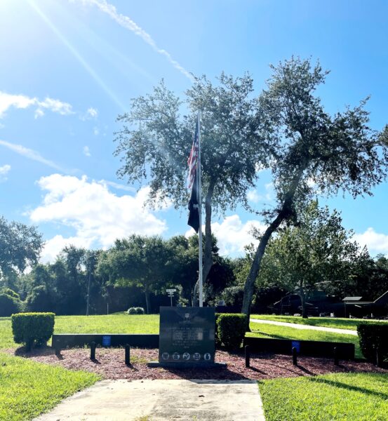 THESE FLAGS ALL VETERANS MEMORIAL FLAGPOLE