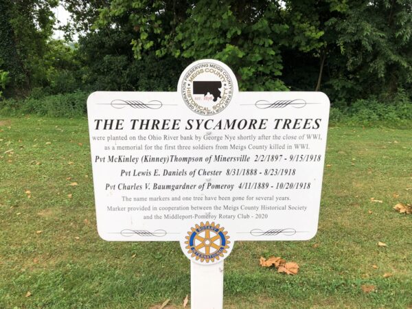 THE TREE SYCAMORE TREES MEMORIAL PLAQUE