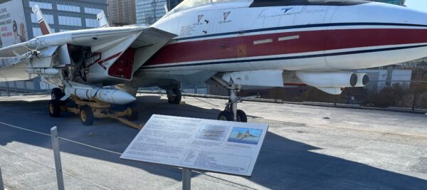 GRUMMAN F-14D SUPER TOMCAT 1972 MEMORIAL AIRCRAFT