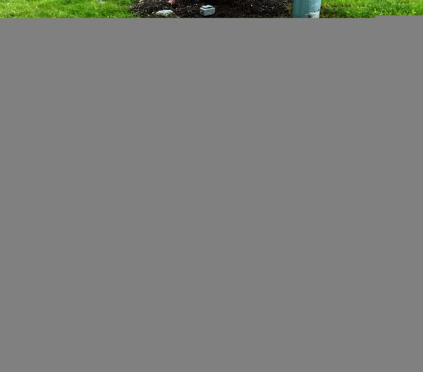 TOWN OF STONINGTON VETERANS MEMORIAL STONE C