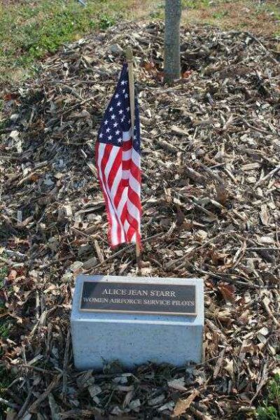 ALICE JEAN STARR MEMORIAL TREE PLAQUE