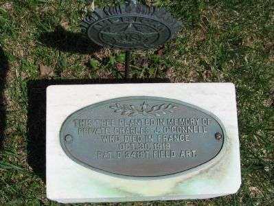 PRIVATE CHARLES J. O’CONNELL STREET TREE MEMORIAL PLAQUE