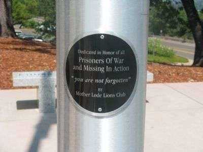 POW-MIA MEMORIAL FLAG POLE